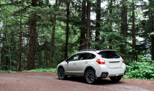 car driving on a road surrounded by trees